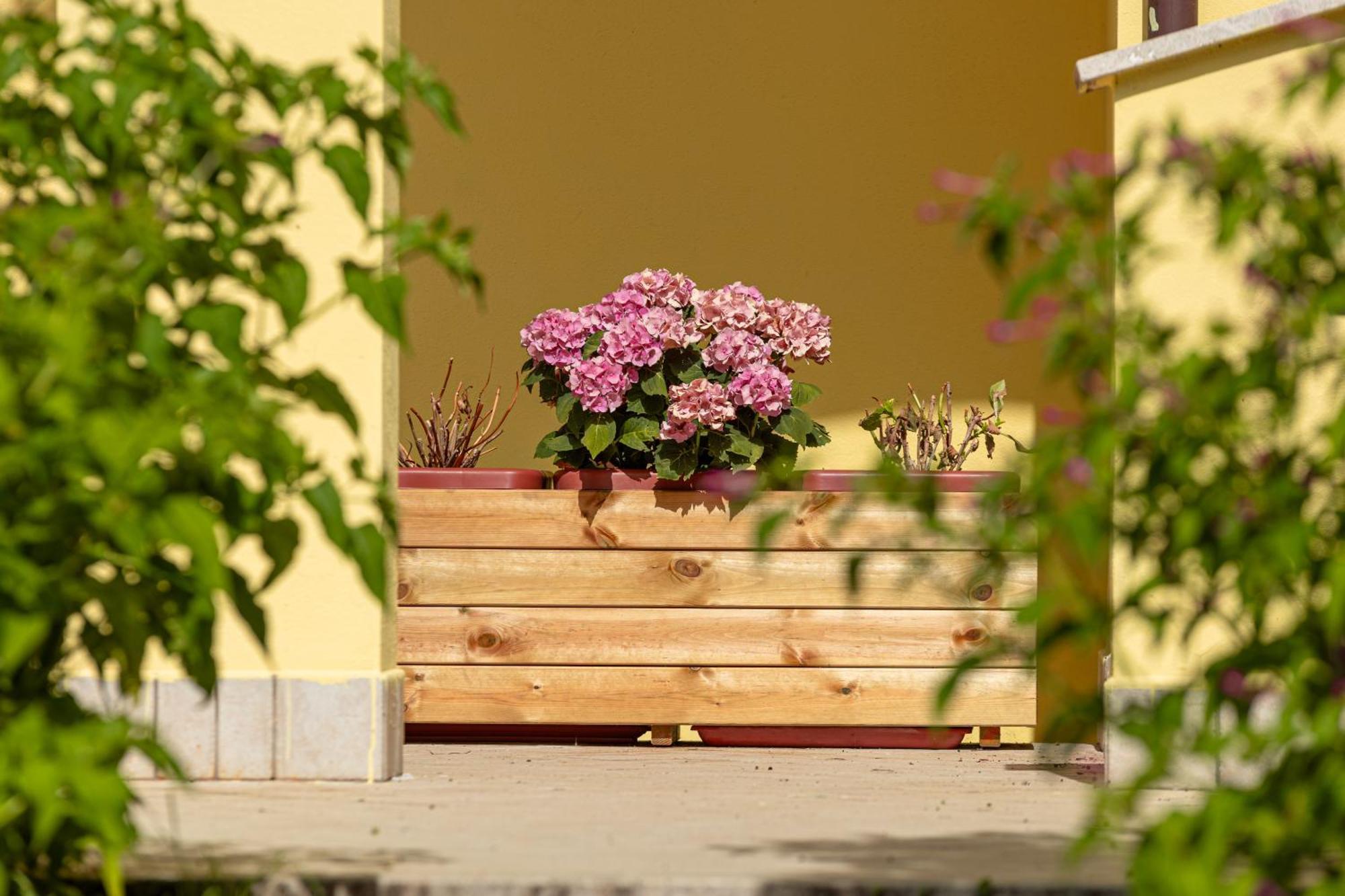 Apartament Il Frutteto Monticchio  Zewnętrze zdjęcie
